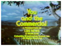 You and the Commercial