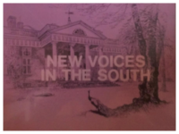 New Voices in the South